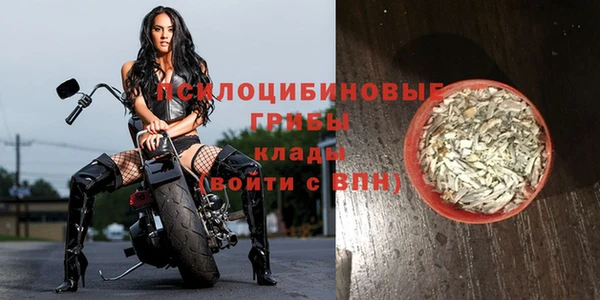 винт Баксан