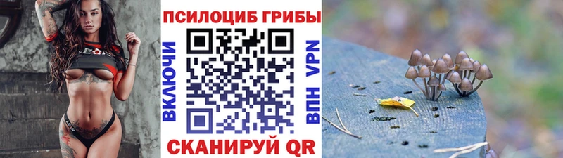 сайты даркнета клад  Опочка  Галлюциногенные грибы Psilocybine cubensis  hydra сайт 