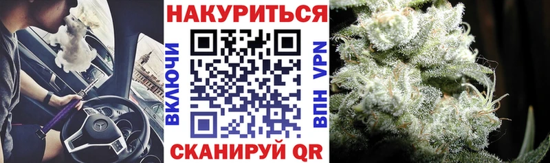 где можно купить наркотик  Опочка  Конопля конопля 